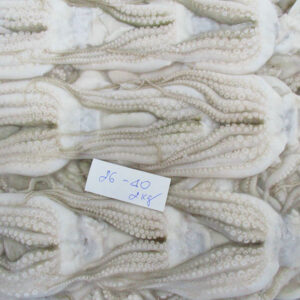 Sss-food-cuttefish-1