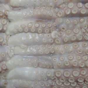 Sss-food-cuttefish-2