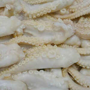 Sss-food-cuttefish-4