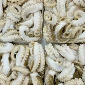 Sss-food-cuttefish-9